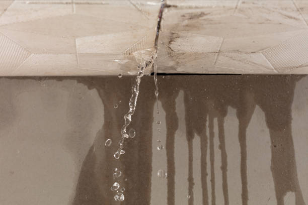 Professional Water Damage Repair technician working in Flat Rock, AL